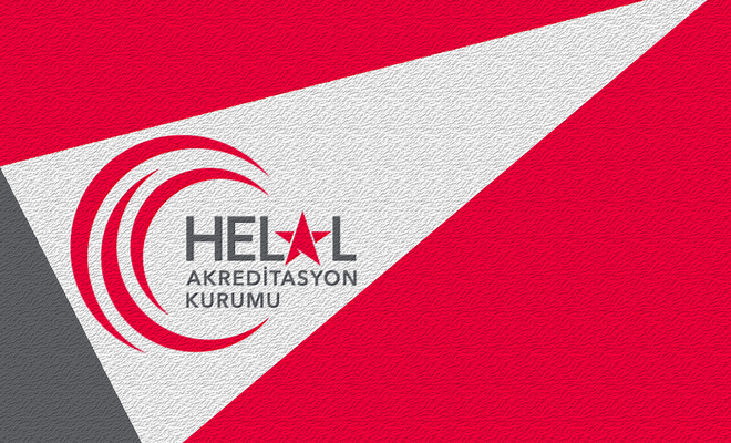 Tanık Denetimi Planlama Rehberi Hakkında Duyuru